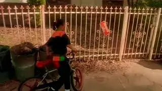 Ice cube - it was a good day