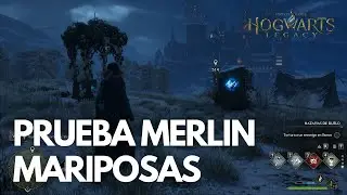 Hogwarts Legacy | Prueba de MERLIN con mariposas brillantes y ROCA con CRISTAL ☘️🔥