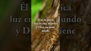Dios es bueno 
