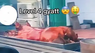 GYATT NURSERY RHYME