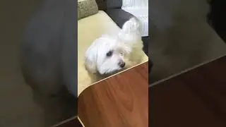 //…//