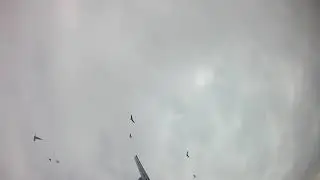 Охота на гуся.