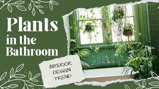 Plants in the Bathroom -  Bring the outdoors in! Interior Design Trend