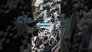 Старушкины забавы
