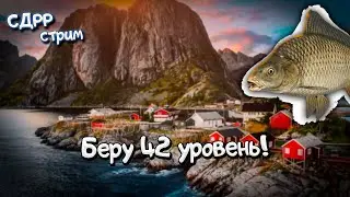 Добиваю 42 лвл, потом на Янтарное за карпом.  ( Русская рыбалка 4 )