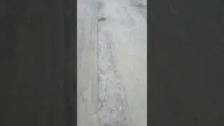 Иду домой #шортс #реком
