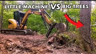 Tree Removal on DIY Pond Build - Homeowner Special