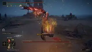 Leonine Misbegotten | NG+ | 3 hits kill | No Damage | Black Knife +9