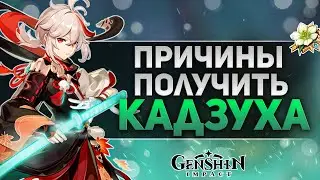 5 ПРИЧИН ПОЛУЧИТЬ КАДЗУХУ | GENSHIN IMPACT