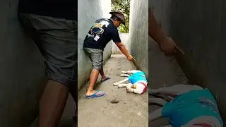 ADA SAJA GANGGUAN SI CARLO ( ANJING PITBUL )  | VIDEO KOCAK