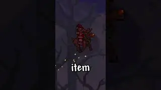 Terraria's RAREST Items!