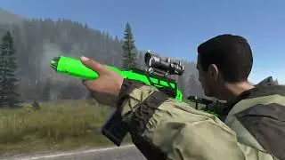 DayZ Vss p150