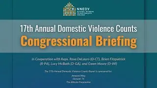 17th Annual Domestic Violence Counts Report: Virtual Congressional Briefing