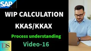 WIP issue | Process Understanding | DS SAP FICO CLASSES