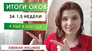 Результаты по 2 неделям в Одноклассниках. Яндекс Дзен. Вконтакте