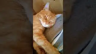 Милашка😘💓 Музыка Автора @simb