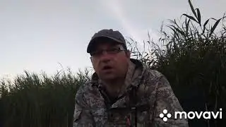 Рыбалка в Беларуси Водохранилище Левки 02.08.2020