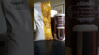 Next Brew