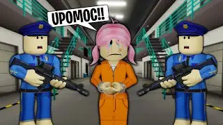 ZATVOR ZA BEBE U BROOKHAVENU! Roblox RP