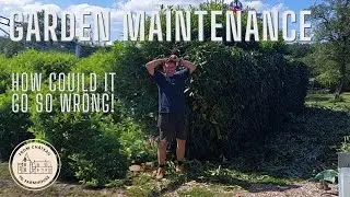 Ep 164 | Gardening is too much! | Breaking the tools | From French Chateau to Farmhouse