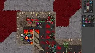 Komendant Never Sleep (266) [Elder Druid] - Titania