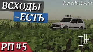 Fatming Simulator 19 [РП] - Рассвет. Опрыскивание.