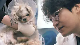 I hope there are no abandoned children during the vacation season (Jigeum-i Full Ver.)