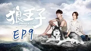 【ENG SUB】Prince of Wolf EP9 #fullepisode #prince #lovestory #drama #romance  #love