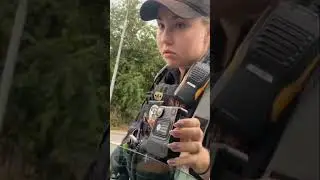 Глупая галка на дорогах Украины 