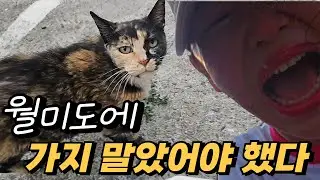 월미도에서 이상한 녀석을 만났다!!