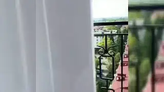 5 ноября 2020 г.