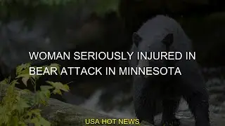 #bear