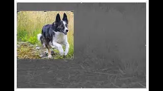 How to crop video in video studio 2023