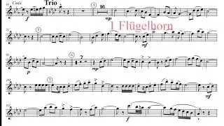 Hahnenkamm Polka 9 Blechbläser