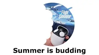 Google, xCloud, Flight Sim and more!
