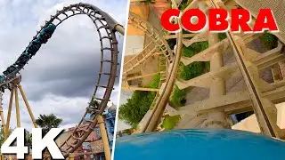 Cobra [On-Ride 4K POV] - Walibi Belgium