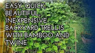 HOW TO Make a Bamboo and Twine Trellis WITHOUT ANY TOOLS | EASY to Follow #gardening #howto