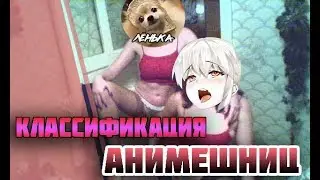 КЛАССИФИКАЦИЯ АНИМЕШНИЦ 