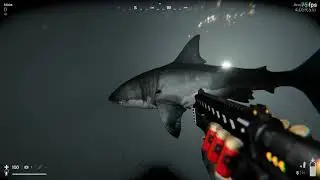 Death in the Water 2 Кракен
