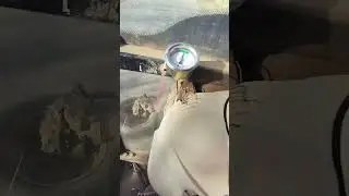 necazu si beleaua sa rupt planetara