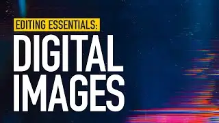 Understanding Digital Images