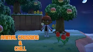 Animal Crossing | Chill and chat