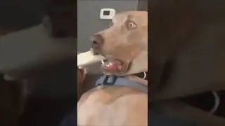 Скуби-Ду