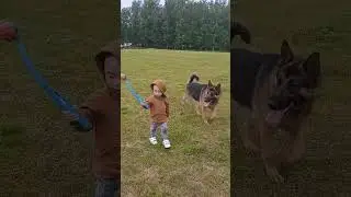 German shepherd with my baby boy at the park.
