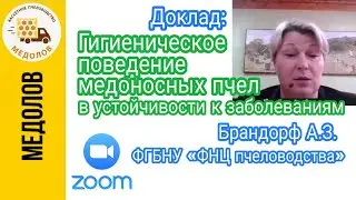 Гигиеническое поведение медоносных пчел в устойчивости к заболеваниям Брандорф А.З. ФНЦ пчеловодства