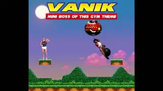 Mini Boss Of This Gym Theme