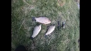 Мормышинг, днем бель, вечером карась