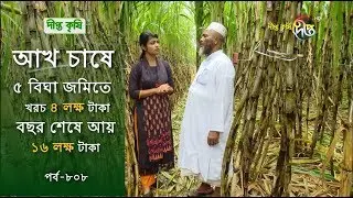 Deepto Krishi/দীপ্ত কৃষি-  ৫ বিঘা জমিতে আখ চাষ খরচ ৪ লাখ  আয় ১৬ লক্ষ  টাকা | পাবনা | deepto tv