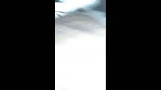 VP_44 ман тнвд