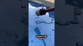 Insane sheeting & beading - Carpro coating